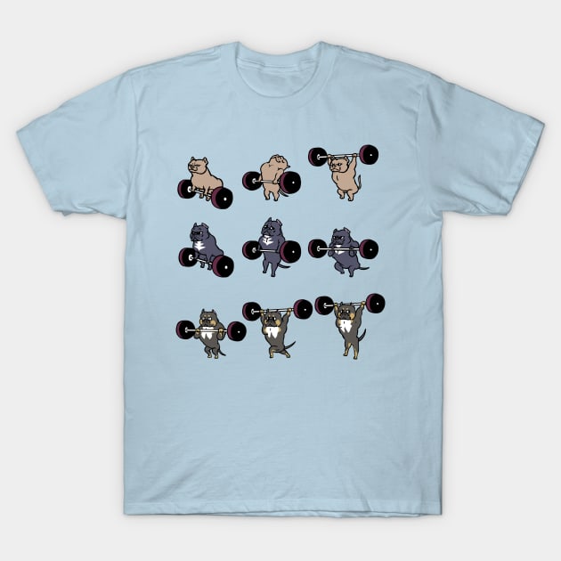 American olympic deals shirt
